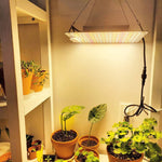 LED Grow Light Information